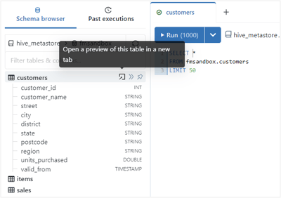 dbx-sql-introduction-03-editor-preview